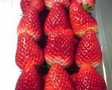 フレッシュいちごのレアチーズムース！作り方5写真
