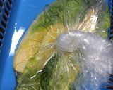 白菜塩漬け(キムチ用)作り方11写真