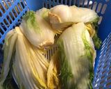 白菜塩漬け(キムチ用)作り方13写真