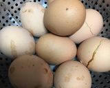 グウンゲラン★焼き卵★韓国サウナのゆで卵作り方3写真