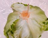 レタス、白菜、キャベツの、長期保存方法！作り方1写真