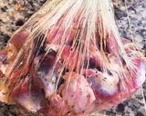 ほったらかし簡単ヘルシー砂肝のコンフィ風作り方3写真
