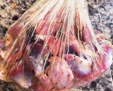 ほったらかし簡単ヘルシー砂肝のコンフィ風作り方3写真