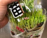 豆苗の切り方作り方2写真