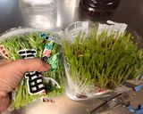 豆苗の切り方作り方3写真