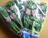 春のパスタ☆菜の花のマヨネーズパスタ作り方1写真