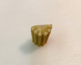 寿司型・模様巻き(サンタ2個だけお弁当)作り方1写真