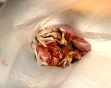 タレに漬け込むだけ。簡単！鳥モモの唐揚げ作り方3写真