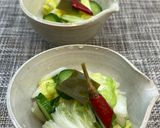 白菜と胡瓜の浅漬け♪作り方5写真