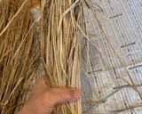 簡単！自家製藁納豆作り方5写真