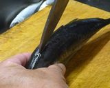 アジの開きの作り方作り方1写真