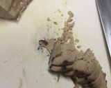 妄想周ちゃんおかず・なまり入り胡瓜もみ作り方3写真