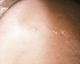 自家製生芋こんにゃく作り方6写真