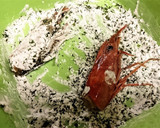 捨てずに節約【エビ頭唐揚げのサラダ仕立】作り方3写真