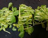 捨てずに節約【エビ頭唐揚げのサラダ仕立】作り方7写真