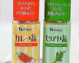 今宵はスパイス塩で串揚げを楽しもう♪作り方4写真