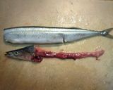 あれ?骨ないよ?ぶつ切り秋刀魚の唐揚げ作り方2写真