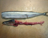 あれ？骨ないよ？ぶつ切り秋刀魚の唐揚げ作り方2写真