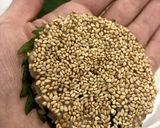 シャキぷち食感！"鶏と蓮根のつくね"作り方7写真