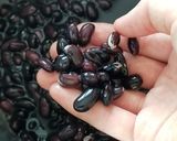 キューバの黒い豆スープ〜フリホーレス作り方1写真