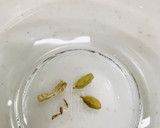 柿とアボカドとトマトのサラダ作り方3写真