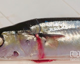 秋刀魚の簡単内臓処理＆長持ち保存方法作り方5写真