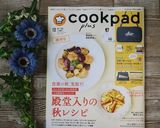 白菜とチンゲン菜の豚バラ塩あんかけ作り方11写真