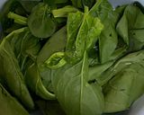 ほうれん草のバター炒め作り方1写真