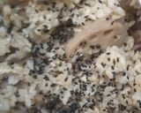 れんこんご飯作り方10写真