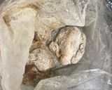 少ない油で！フライパンで！鶏の唐揚げ作り方3写真