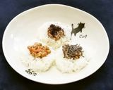 コロニーレーザー作り方11写真