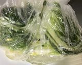 白菜漬物作り方9写真