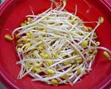 レンジで簡単副菜！もやしのキムチ和え作り方1写真