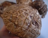 焼き椎茸（立て塩）作り方2写真