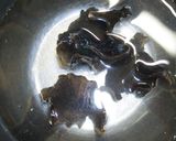 キクラゲとしらたきのさっぱり中華サラダ作り方4写真