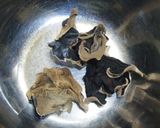 キクラゲとしらたきのさっぱり中華サラダ作り方3写真