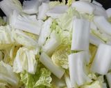 少量でも本格派(^o^) 白菜漬け作り方3写真