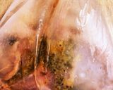 クリスマスに♥チキンレモンマスタード焼き作り方1写真