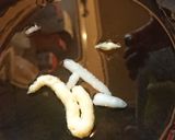 牛肩ロースの柿うま煮作り方4写真