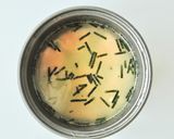 カルシウムたっぷり☆鮭"缶"茶漬けご飯作り方3写真