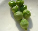 春のタコ豆ご飯作り方7写真