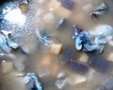 おでんの残り汁で牡蠣の炊き込みご飯作り方4写真