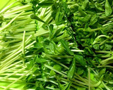 ネバシャキ！えのきとオクラと豆苗のスープ作り方1写真
