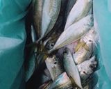 鯵のみりん干し(干物)作り方作り方1写真