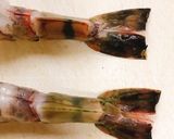 海老の花揚げ天丼作り方4写真