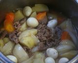 ほくほく肉じゃが作り方6写真