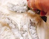 海老の花揚げ天丼作り方8写真