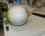 聖護院カブ千枚漬風作り方1写真