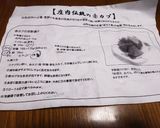 ~❄️♦️【庄内伝統の赤カブ】♦️❄️~作り方5写真