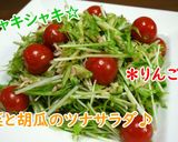 【レシピ動画】水菜と胡瓜のツナサラダ♪作り方3写真